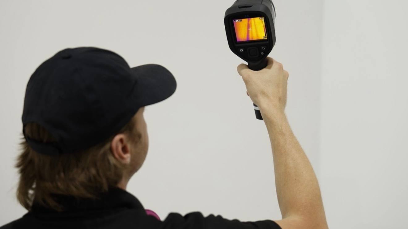 What to Expect During a Mold Inspection
