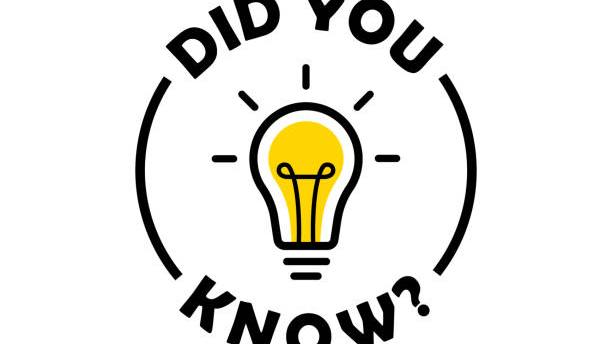  Fascinating Mold Facts Every Homeowner Should Know