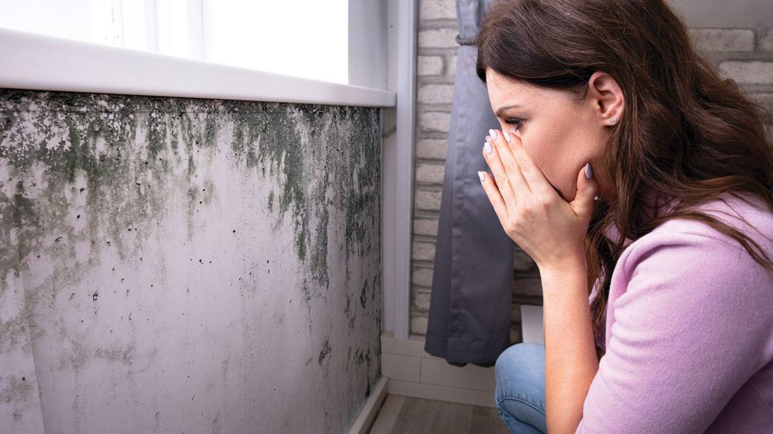 Mold Exposure