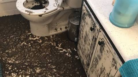 Sewage Backup Cleanup in South Florida: What Homeowners Should Do Immediately