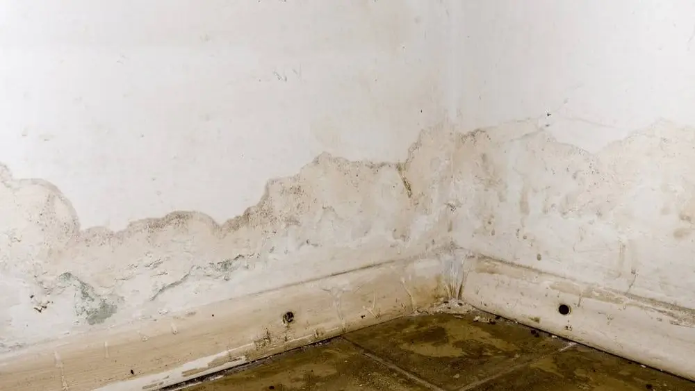 Water damage signs near a leaking wall and window in a South Florida property