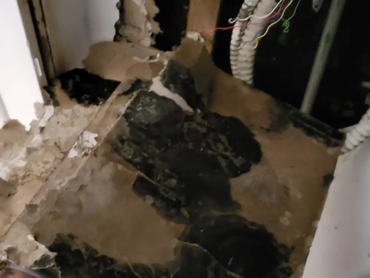 Mold remediation work removing affected materials from a property