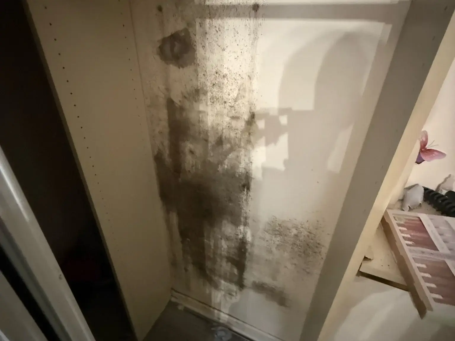 Roof leak damage with mold growth in Fort Lauderdale Florida