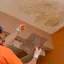 Ceiling Stain symptom example