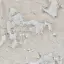 Peeling or bubbling paint warning sign