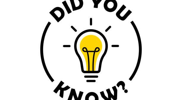  Fascinating Mold Facts Every Homeowner Should Know