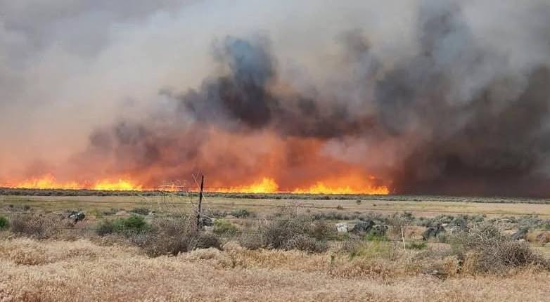 Fire Damage Legal Liability Coverage in Florida