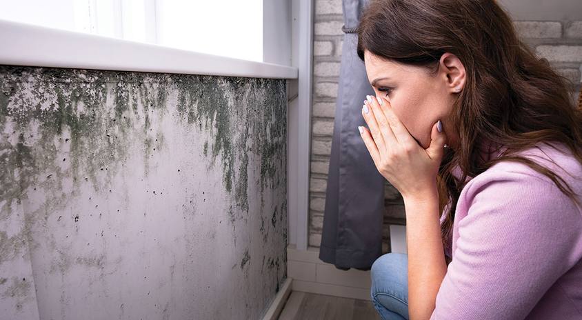 Mold Exposure