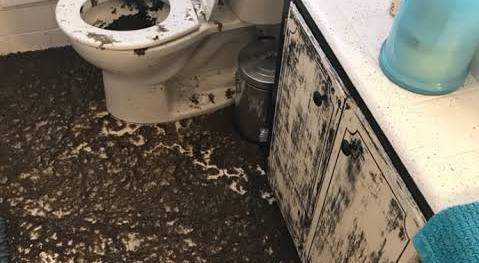 Sewage Backup Cleanup in South Florida: What Homeowners Should Do Immediately