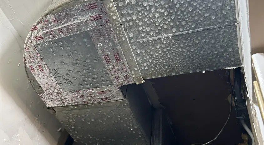 Air Duct condensation 