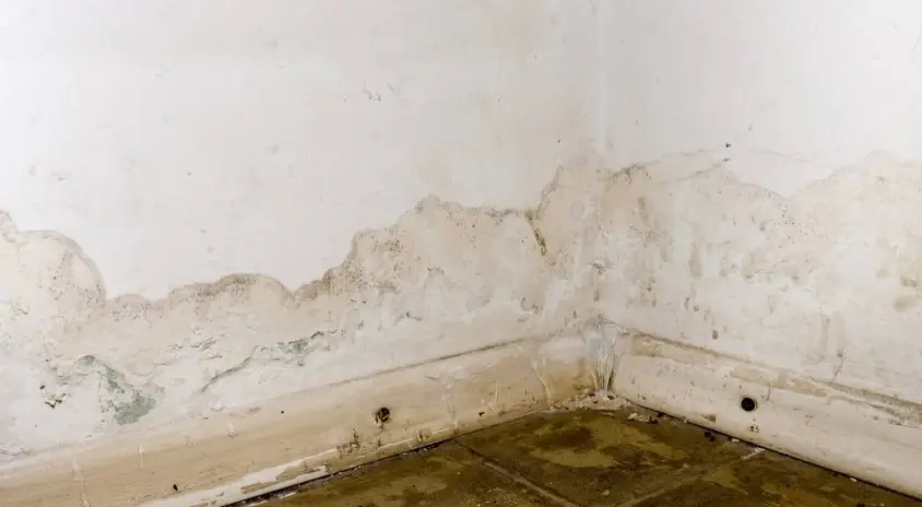 Water damage signs near a leaking wall and window in a South Florida property