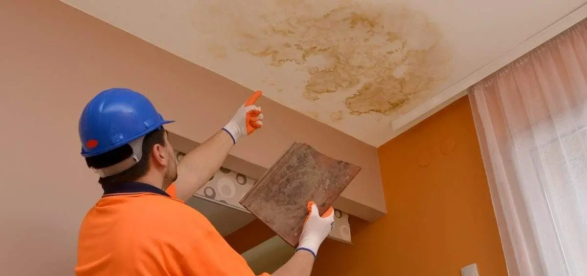 Ceiling Stain symptom example