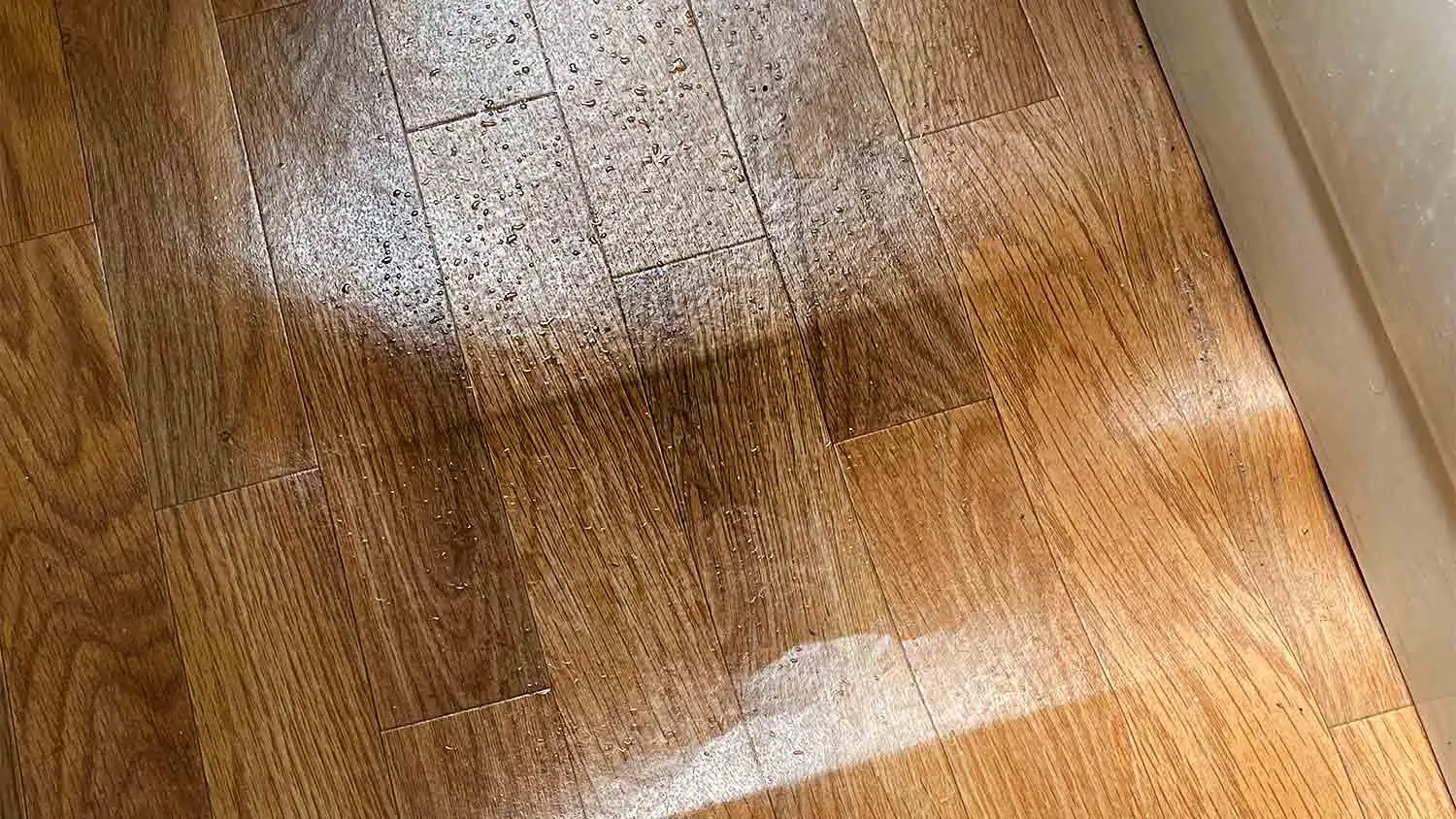 Warped or Buckled Flooring warning sign