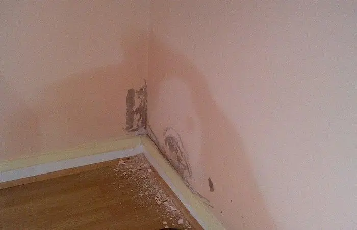 Walls or Floors Feel Damp warning sign