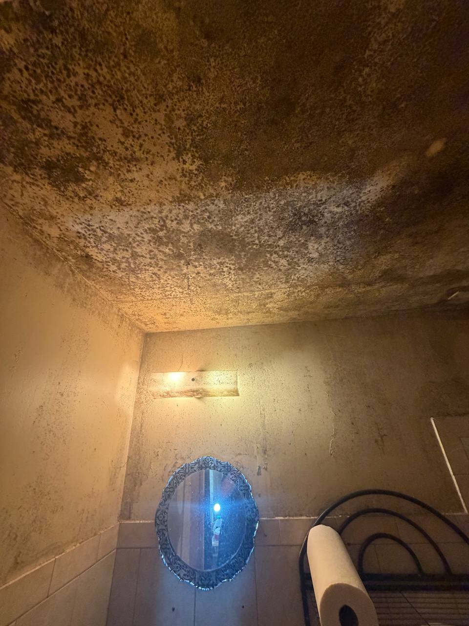 Mold inspection