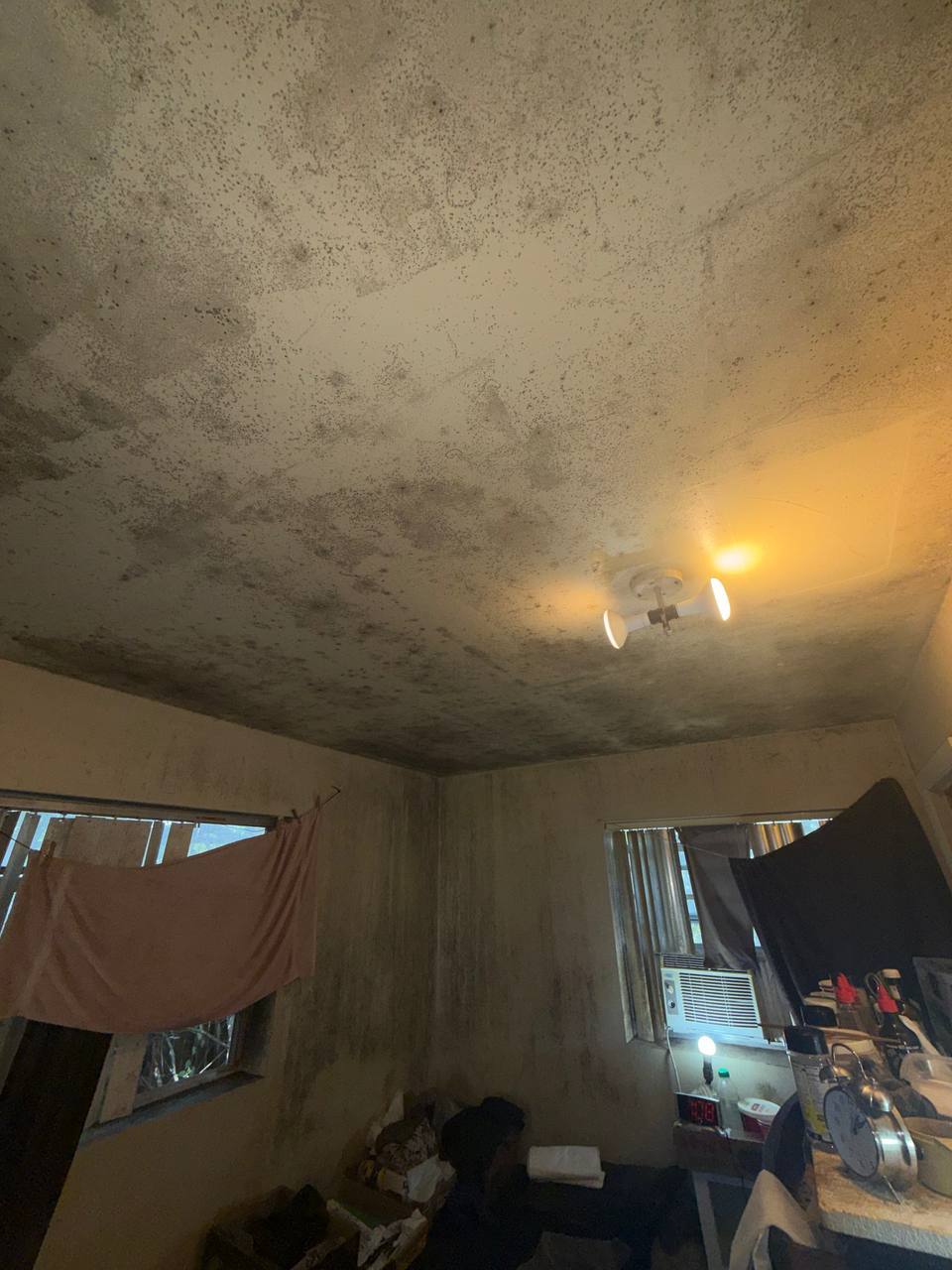 Mold inspection