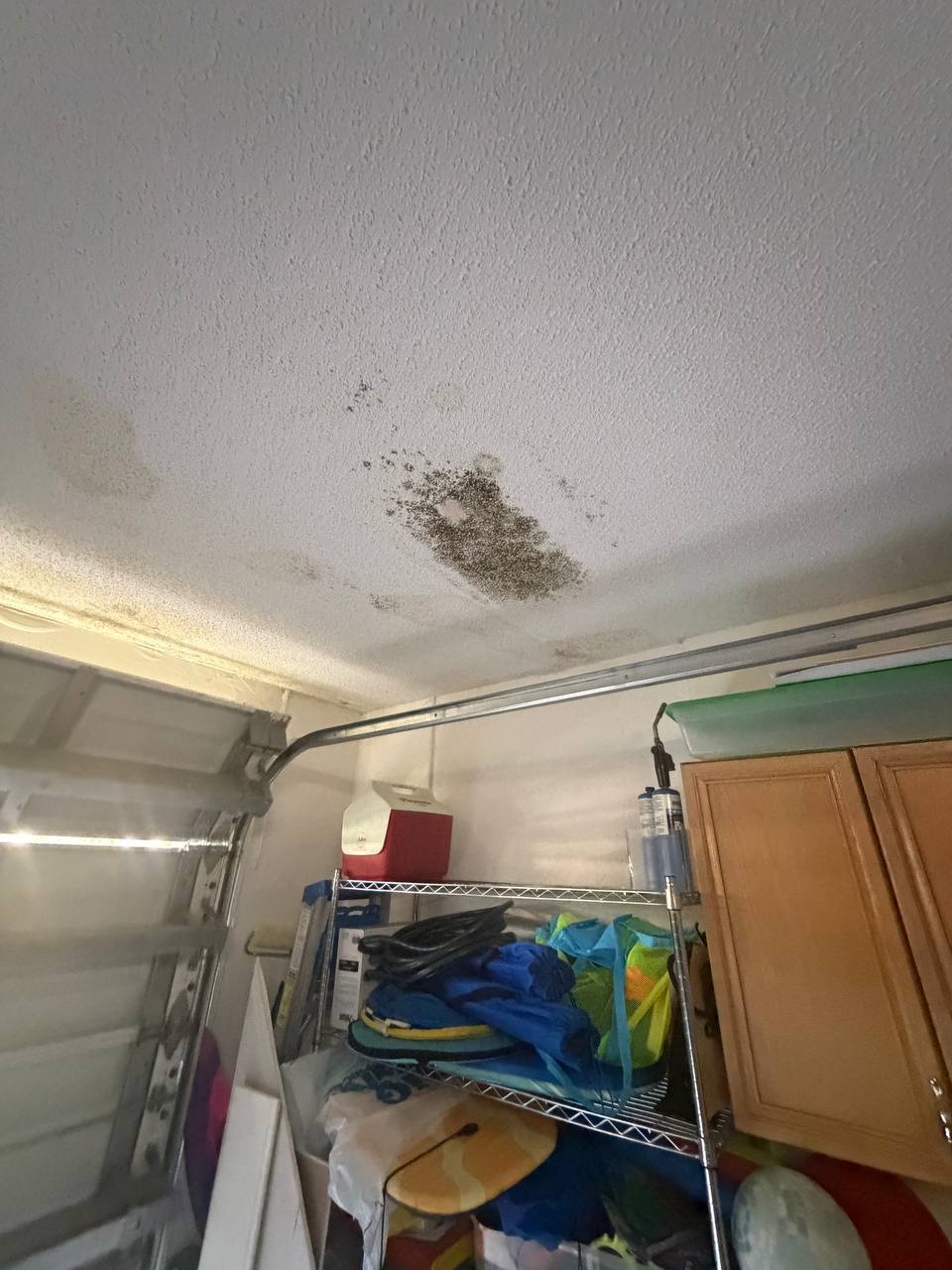 Visible mold growth on garage ceiling in Miramar