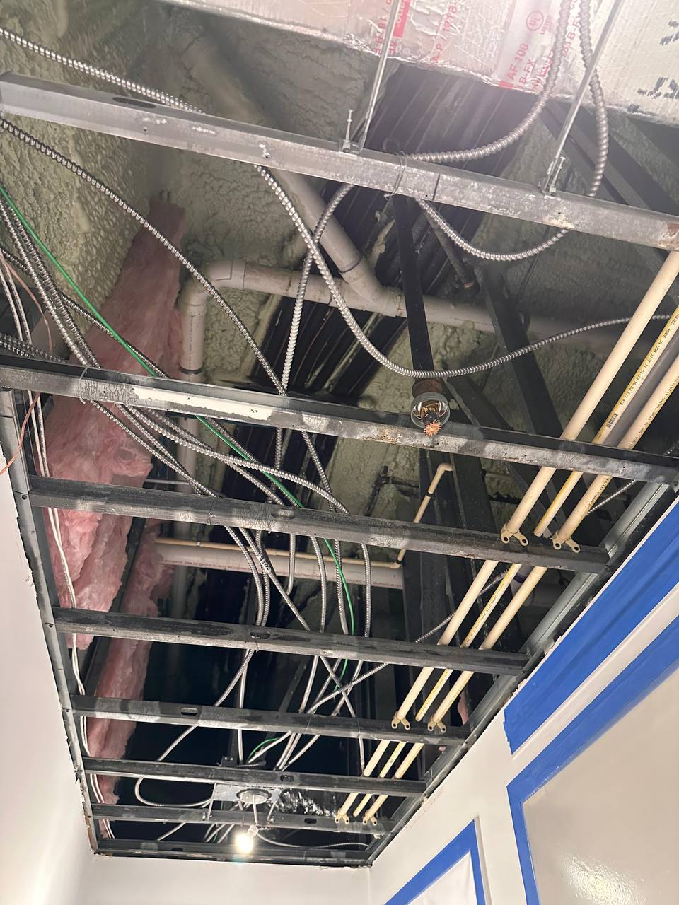 Severe black mold growth on removed ceiling drywall panel