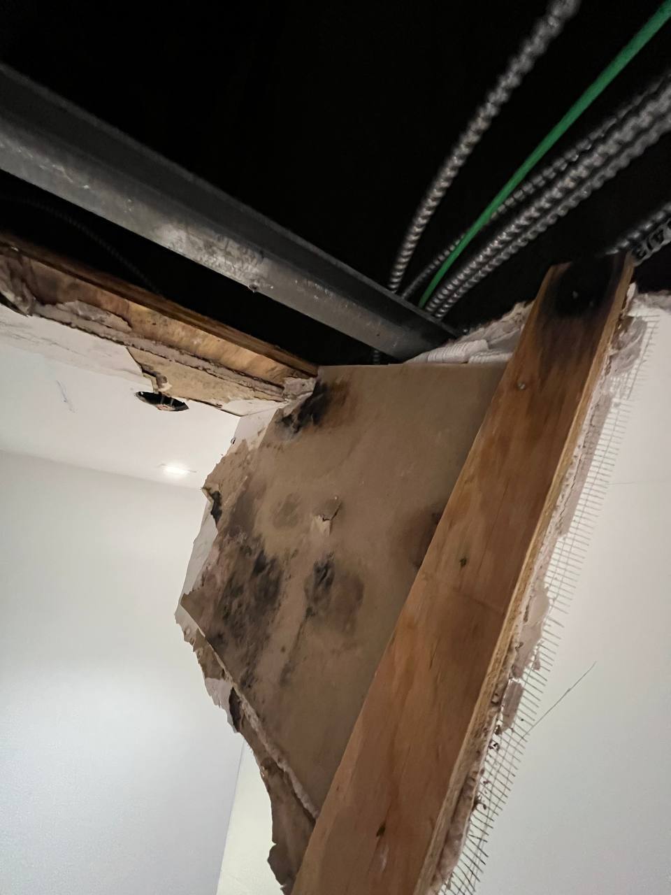 Close-up view of ceiling joists and mold contamination prior to treatment