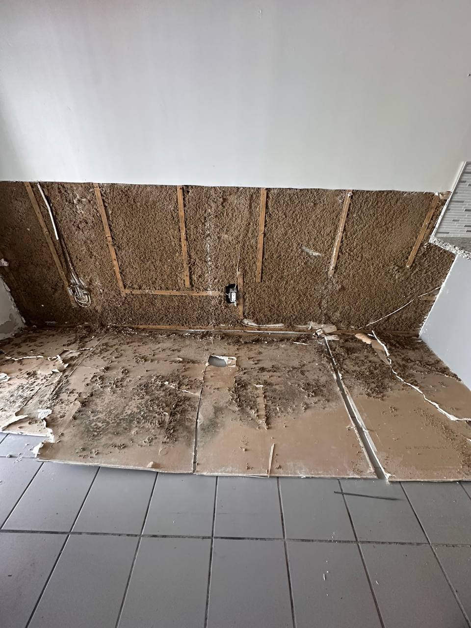 Drywall removal and wall cavity mold treatment in kitchen area