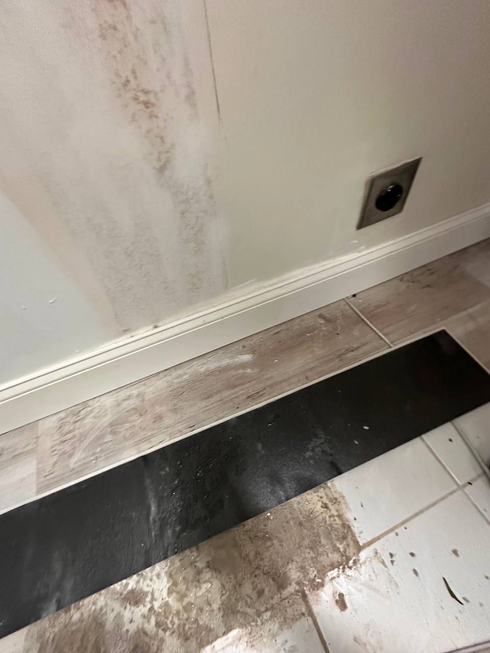 Water stains and mold growth along baseboards and floor prior to remediation