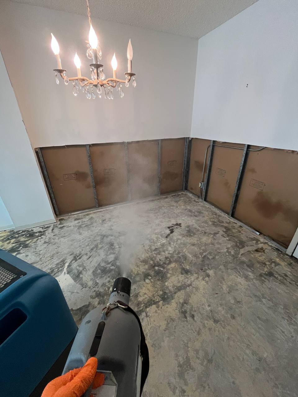 Technician applying antimicrobial fogging treatment to exposed wall framing