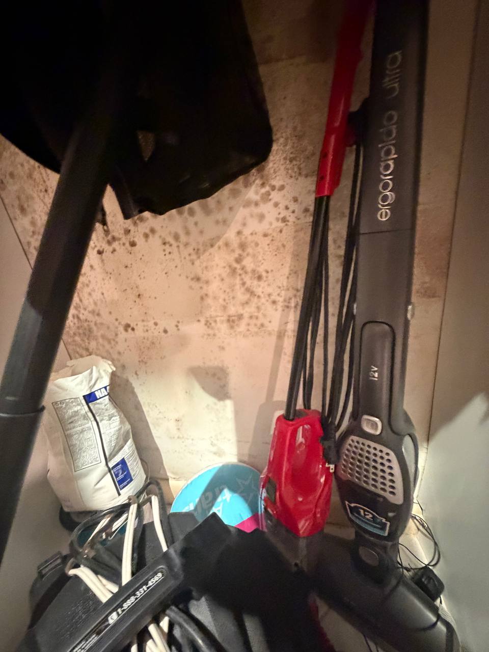 Extensive black mold growth identified on drywall corner and baseboard