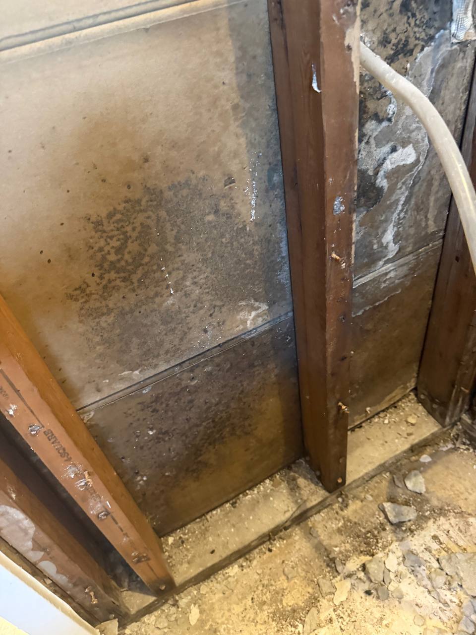 Water damage and fungal growth along bottom edge of drywall corner
