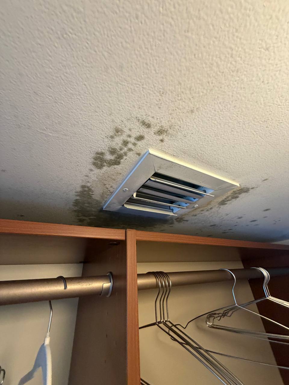 Visible dark mold growth surrounding AC supply air vent on closet ceiling
