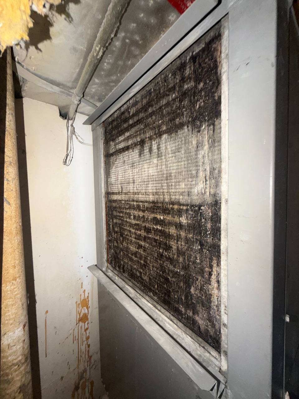 Heavy mold accumulation on HVAC air handler evaporator coil during inspection