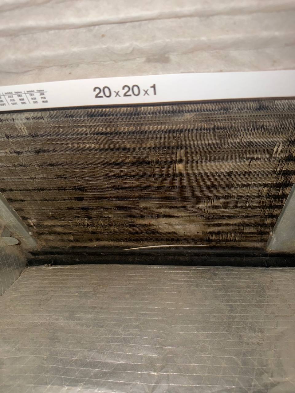 Heavy mold accumulation and debris build-up on AC evaporator coil fins