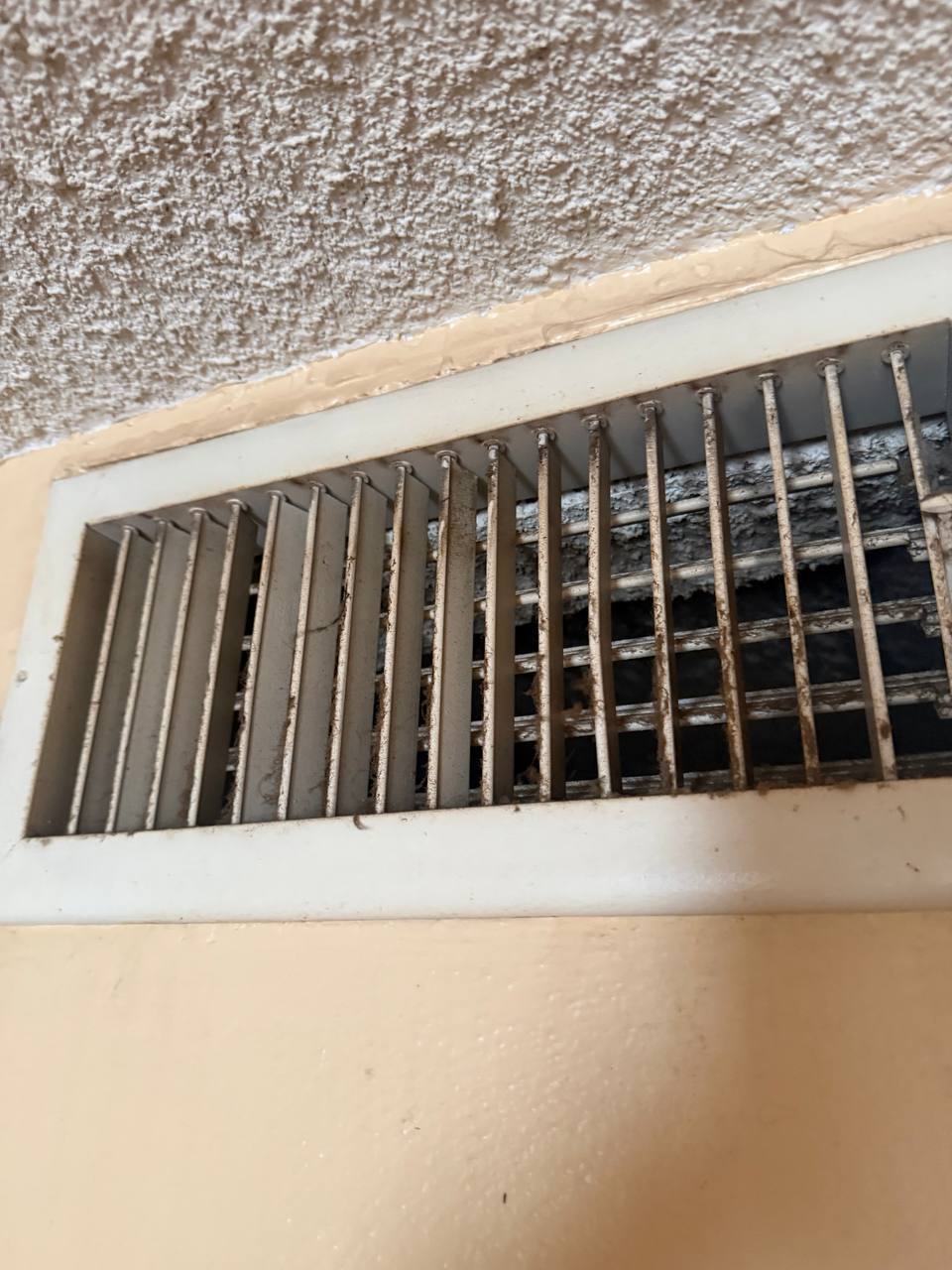 Visible dust and mold growth surrounding AC supply air grille