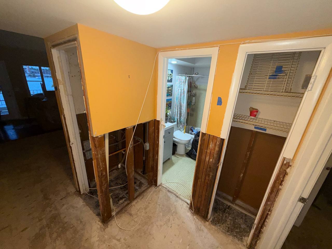 Selective drywall removal along wall bases exposing wooden studs for microbial treatment
