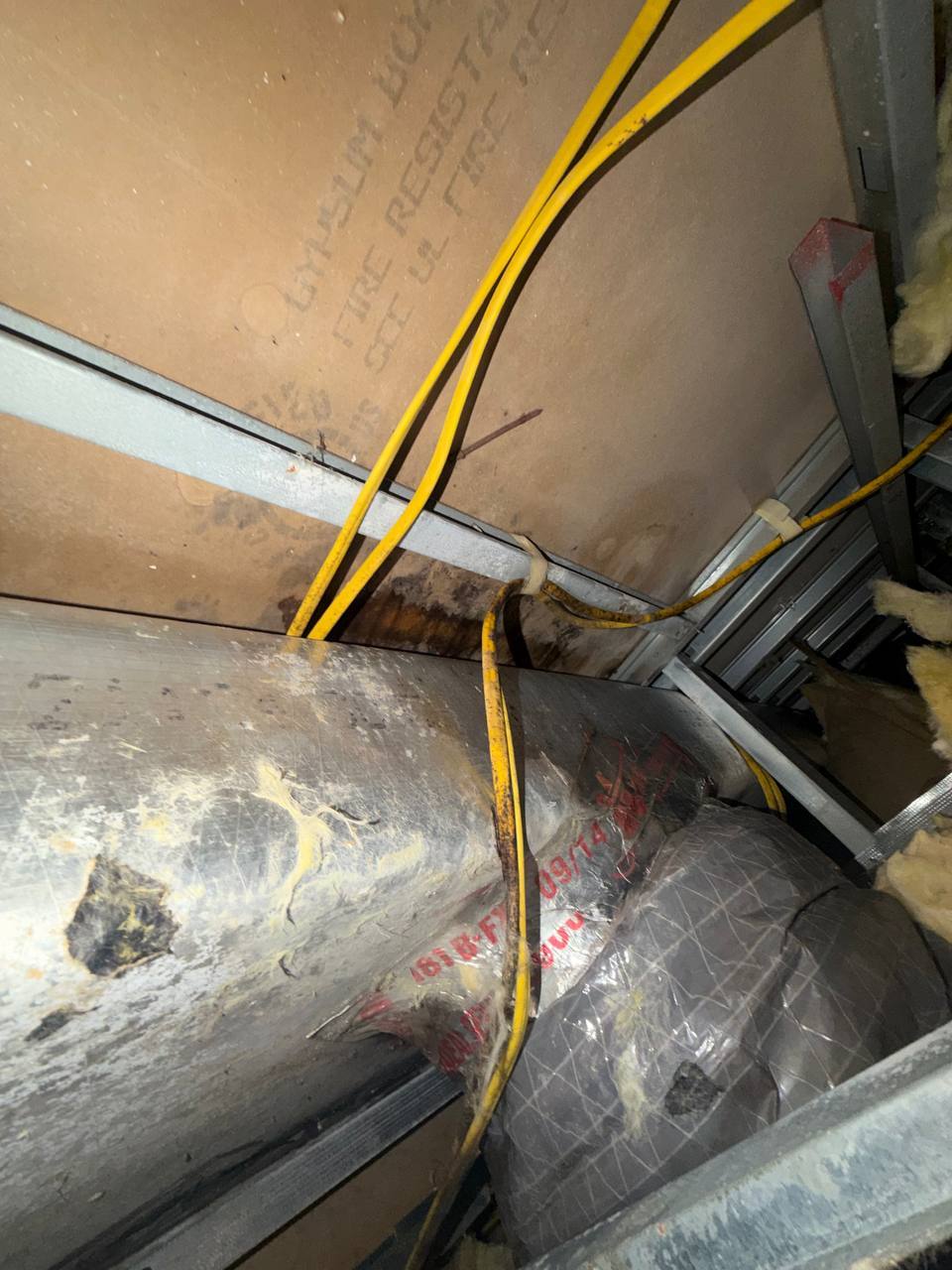Visible mold staining on fire-resistant gypsum ceiling board near flexible ductwork