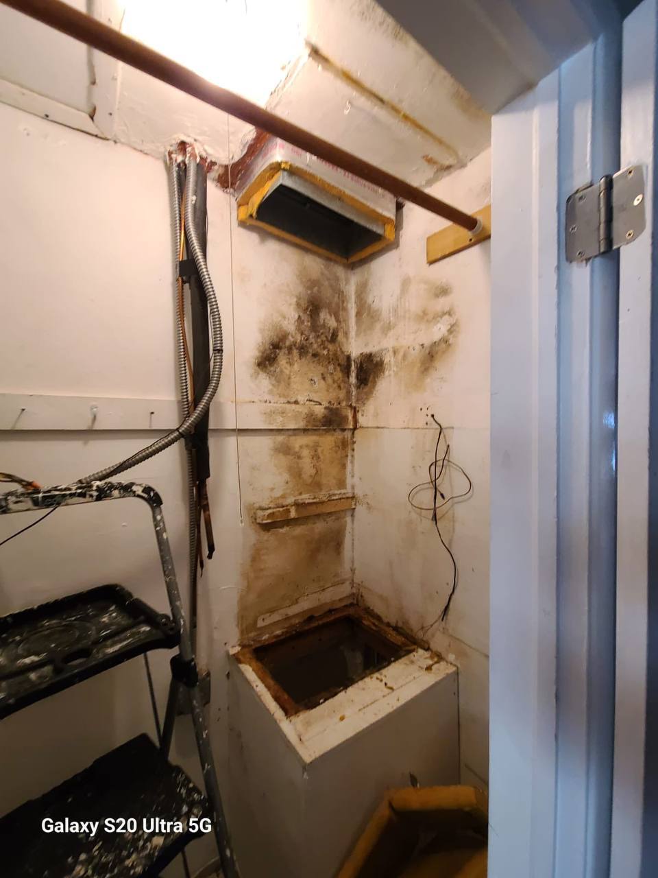 Severe mold growth on drywall inside AC air handler closet during inspection in Boca Raton
