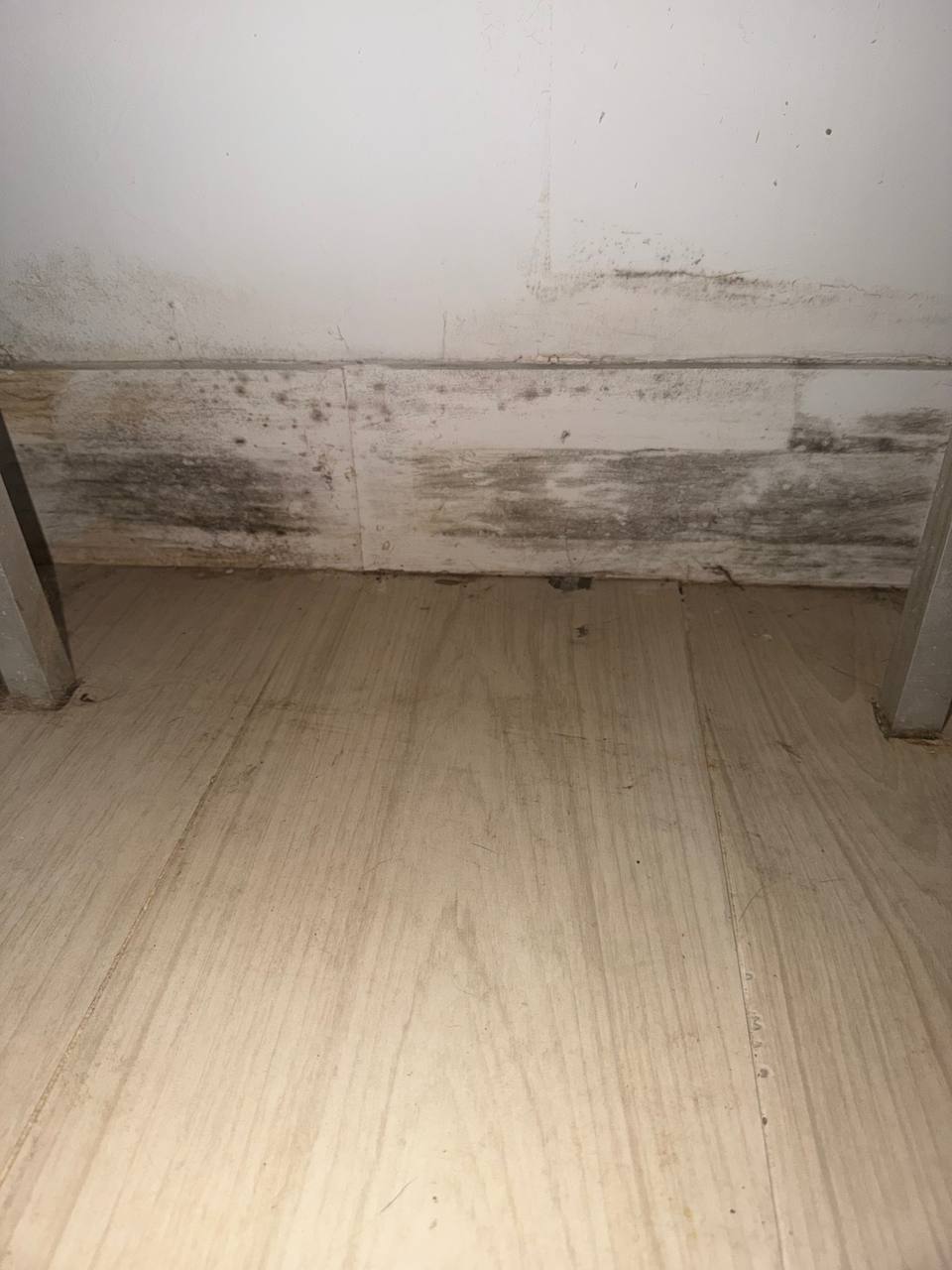 Visible dark mold growth on lower wall section above floor