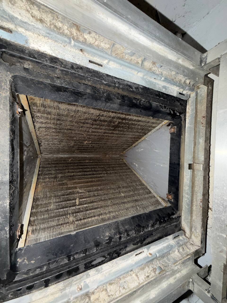 Dirty and mold-contaminated HVAC evaporator coil inside air handling unit