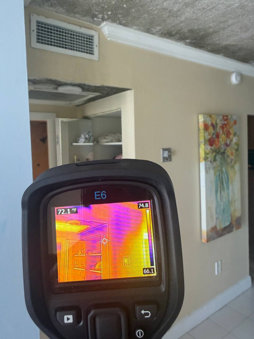 FLIR E6 thermal camera inspection showing temperature differentials and humidity patterns