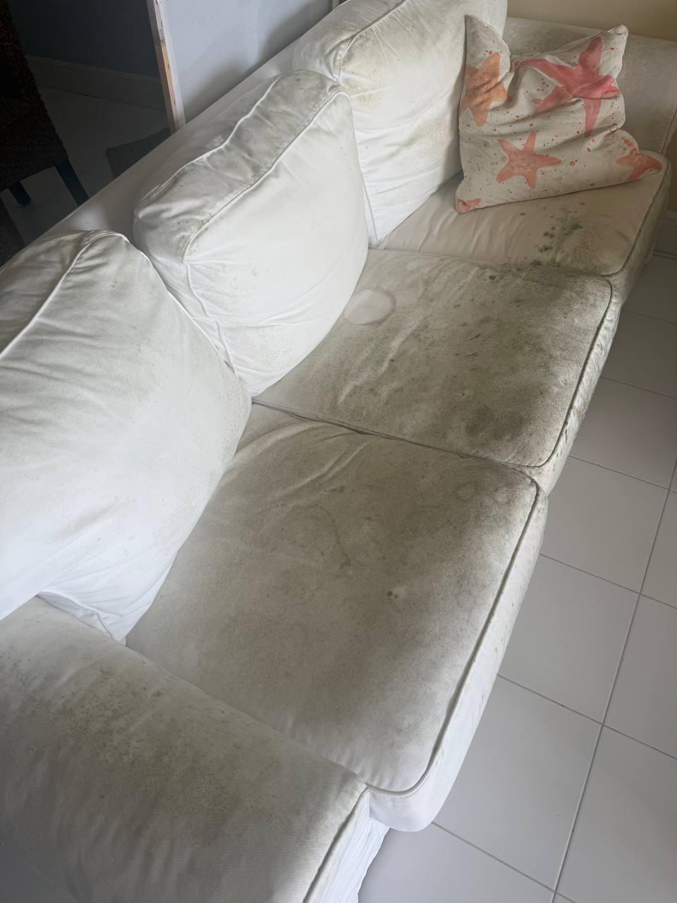 Mold spore contamination and staining on white upholstered living room sofa