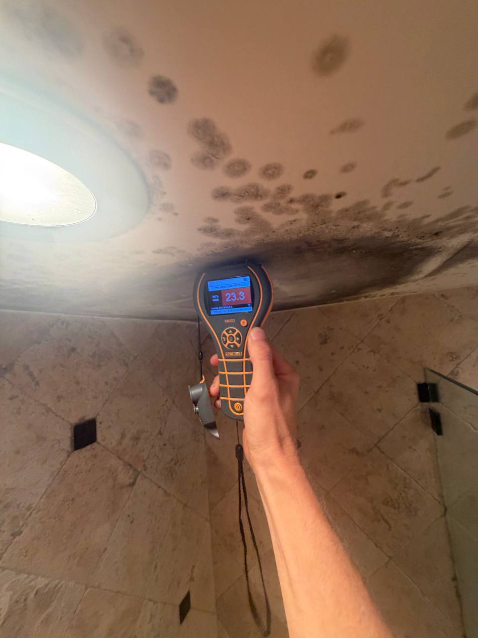 Protimeter measuring 23.3 percent moisture content on moldy shower ceiling