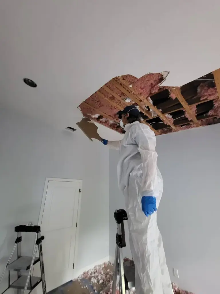 Restored attic after mold remediation and reconstruction