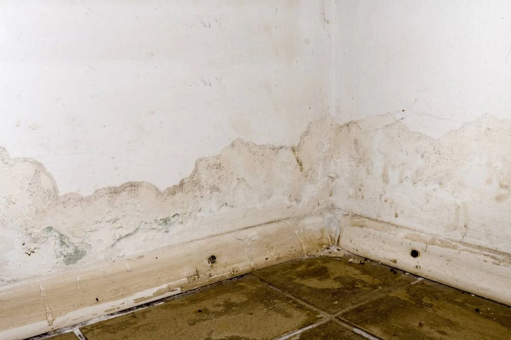 Water damage signs near a leaking wall and window in a South Florida property