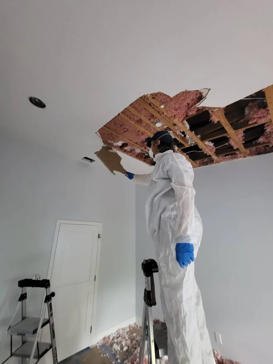 Restored attic after mold remediation and reconstruction