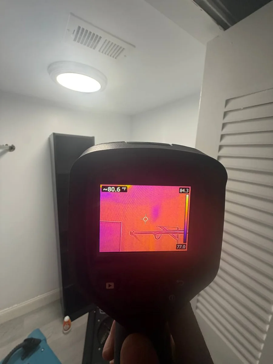 Visual mold assessment during inspection
