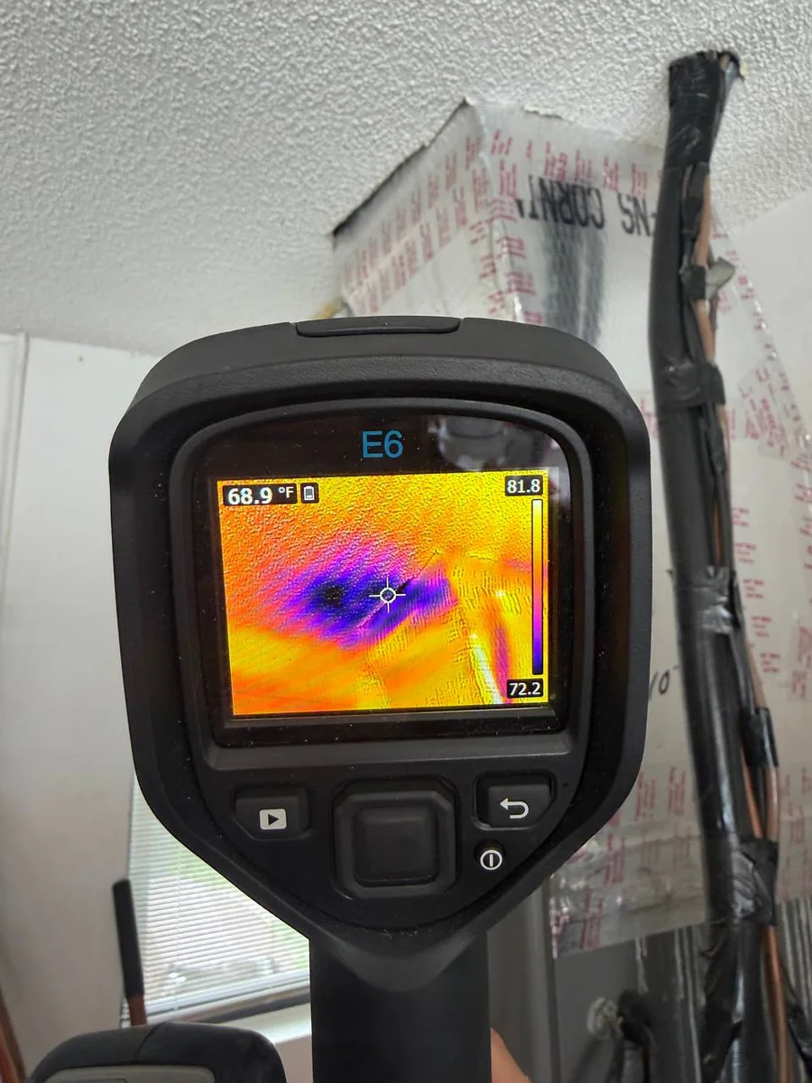 Thermal imaging during Rio Vista mold inspection