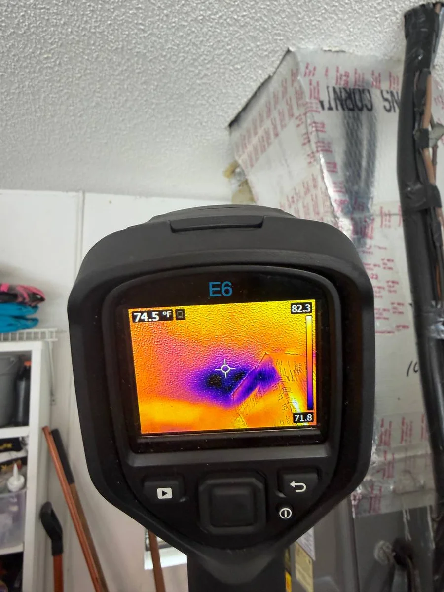 Microbial growth documented during mold inspection