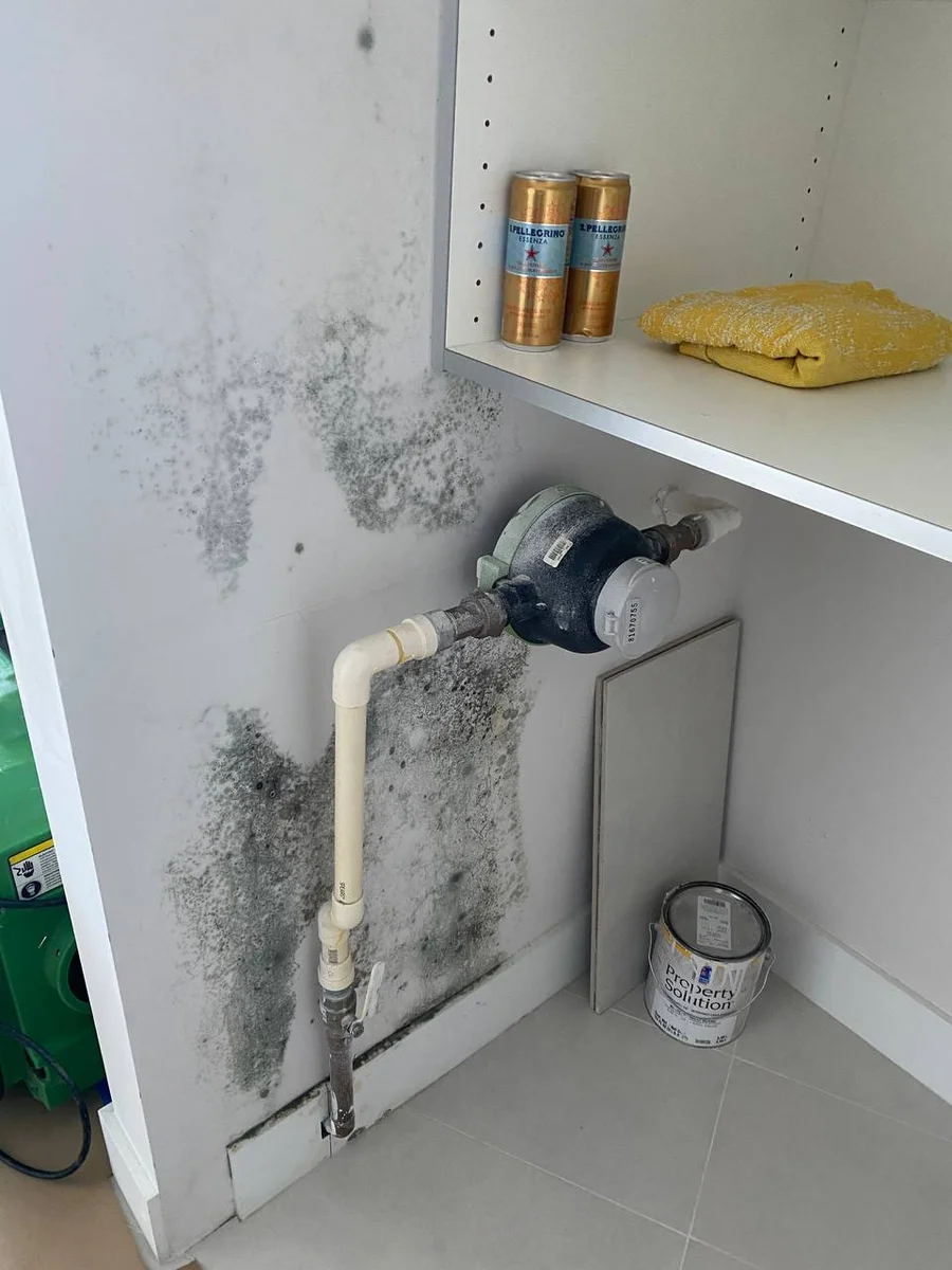 Containment setup during condo mold remediation