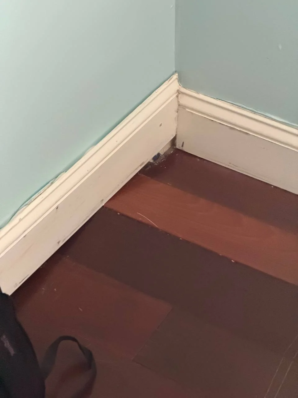 Restored area after mold remediation and treatment