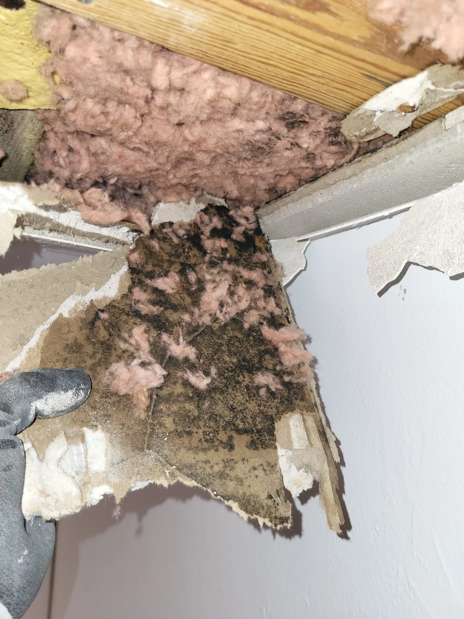Water-damaged ceiling drywall being removed during restoration