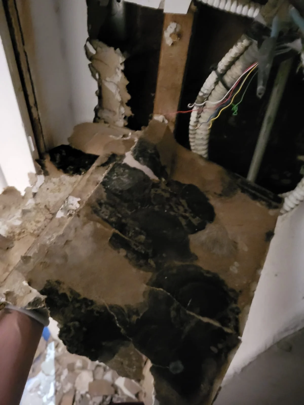 Mold remediation work removing affected materials from a property